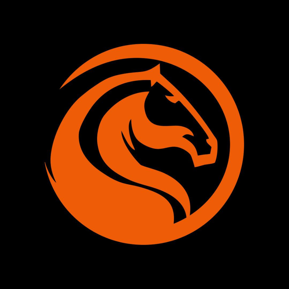 Parceiro 7